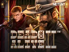 Обложка слота Dead or Alive 2 Feature Buy в лобби Vavada